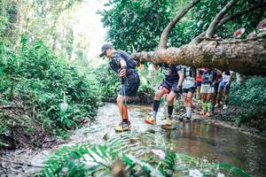 BIB: 
                            <button type="button" onclick="openModal(25468795)" class="btn btn-primary btn-sm float-right btn-popup" data-toggle="modal" data-target=".modal-high-quality">
                        <i class="fas fa-shopping-cart"></i> Add to Cart
                    </button>
                                            <button type="button" onclick="isThisMe(25468795, true)" class="btn btn-success btn-sm float-right btn-popup btn-isme hidden" data-toggle="tooltip" data-placement="bottom" title="นี่คือรูปของคุณใช่ไหม คลิกที่นี่เพื่อเอาเข้าอัลบั้ม">
                        <i class="fas fa-plus"></i> Add to album
                    </button>
                    <button type="button" onclick="isThisMe(25468795, false)" class="btn btn-warning btn-sm float-right btn-popup btn-isnotme hidden">
                        <i class="fas fa-ban"></i> Remove from album
                    </button>